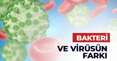 Virüs ve Bakteri Arası Fark Nedir? Mendilde dikkat edilmesi gereken hususlar…